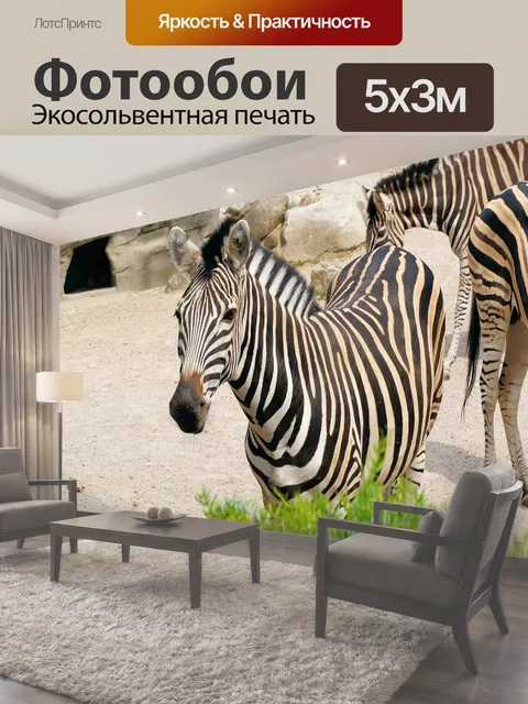 500 × 300 см · Экосольвентная печать