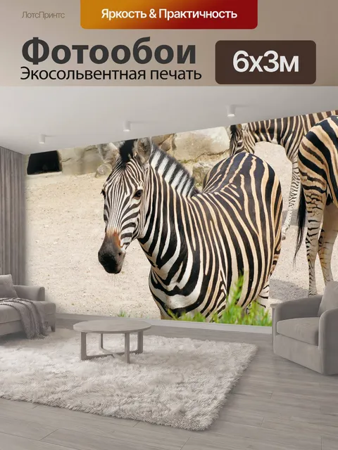 600 × 300 см · Экосольвентная печать