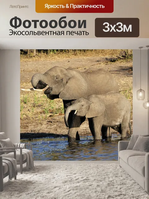 Фотообои Слон, воды слон, слоненка