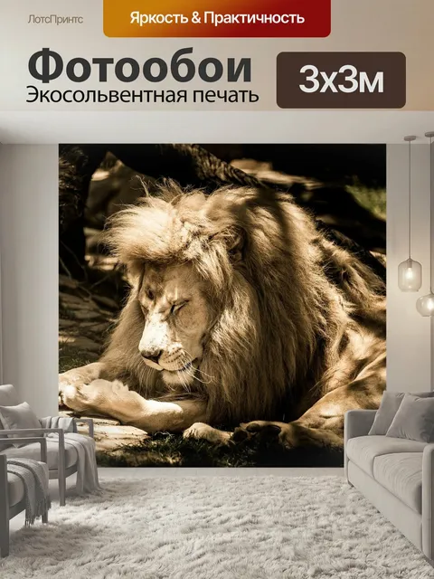 Фотообои Белый лев, свет, грива