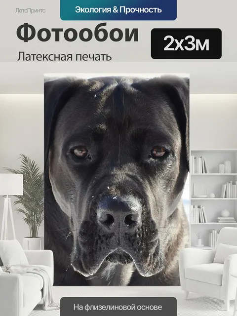 200 × 300 см · Латексная печать