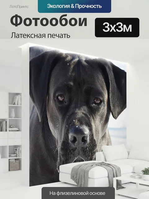 300 × 300 см · Латексная печать