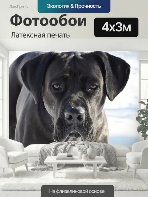 400 × 300 см · Латексная печать
