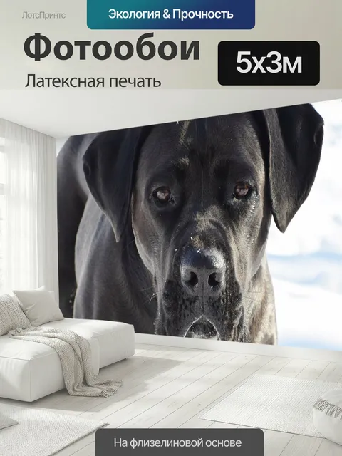 500 × 300 см · Латексная печать