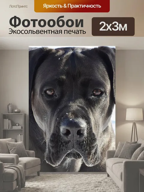 200 × 300 см · Экосольвентная печать