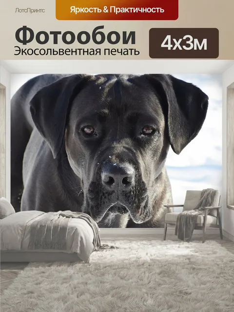 400 × 300 см · Экосольвентная печать