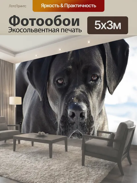 500 × 300 см · Экосольвентная печать