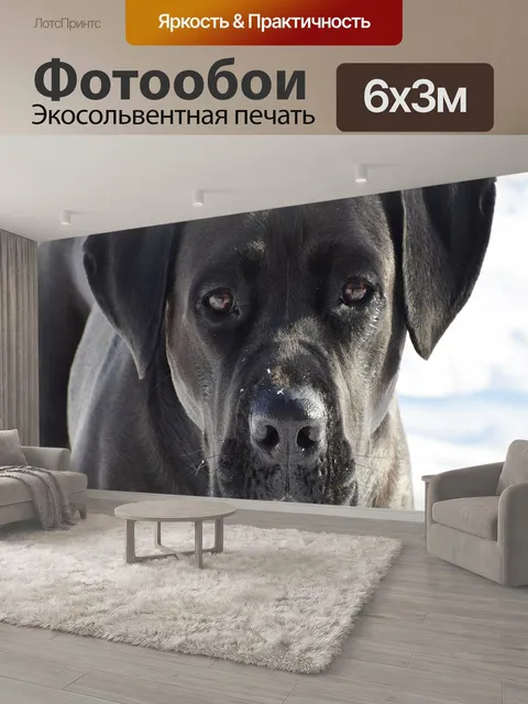 600 × 300 см · Экосольвентная печать