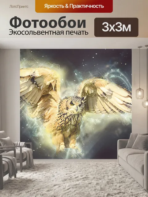 Фотообои Животные, птица, сова