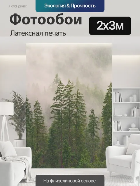 200 × 300 см · Латексная печать