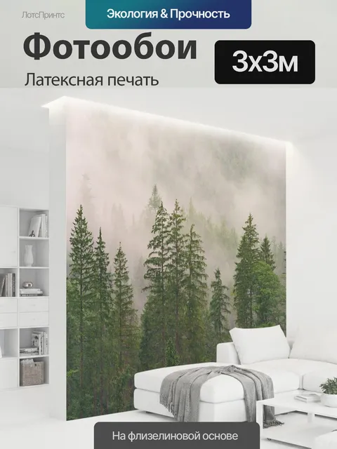 300 × 300 см · Латексная печать