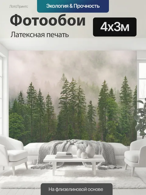400 × 300 см · Латексная печать