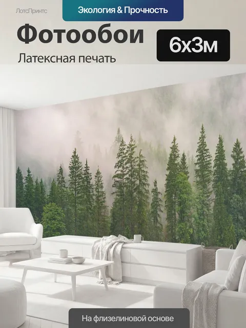 600 × 300 см · Латексная печать