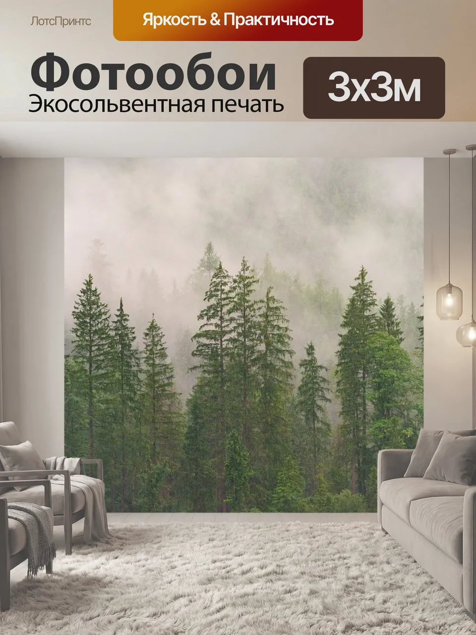 Фотообои Лес, хвойные породы, хвойный лес