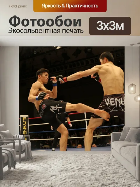 Фотообои Мма, смешанные боевые искусства, япония