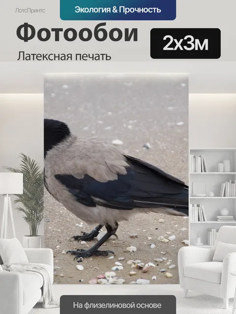 200 × 300 см · Латексная печать