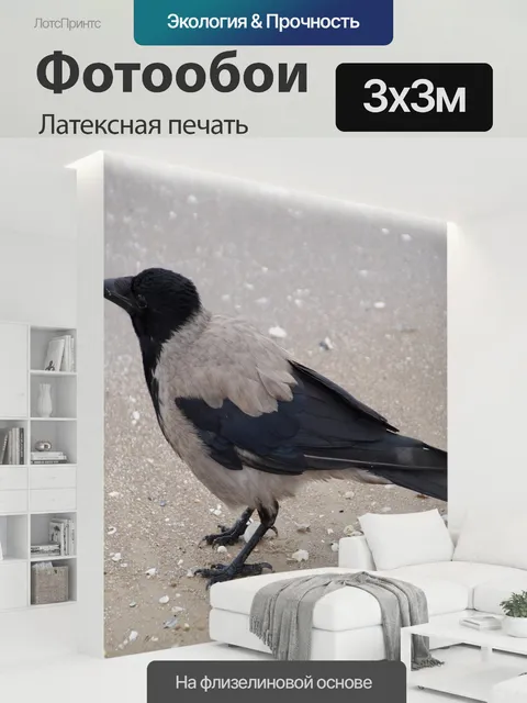 300 × 300 см · Латексная печать