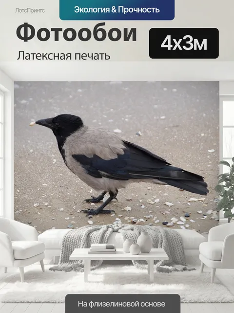 400 × 300 см · Латексная печать
