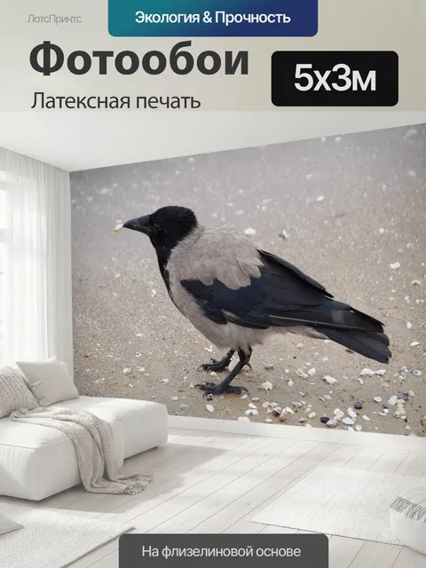 500 × 300 см · Латексная печать