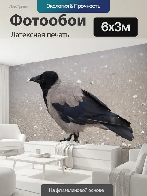 600 × 300 см · Латексная печать