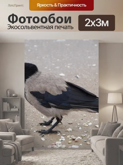200 × 300 см · Экосольвентная печать