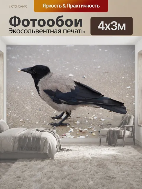 400 × 300 см · Экосольвентная печать
