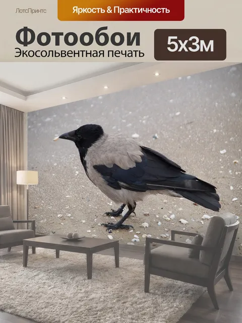 500 × 300 см · Экосольвентная печать