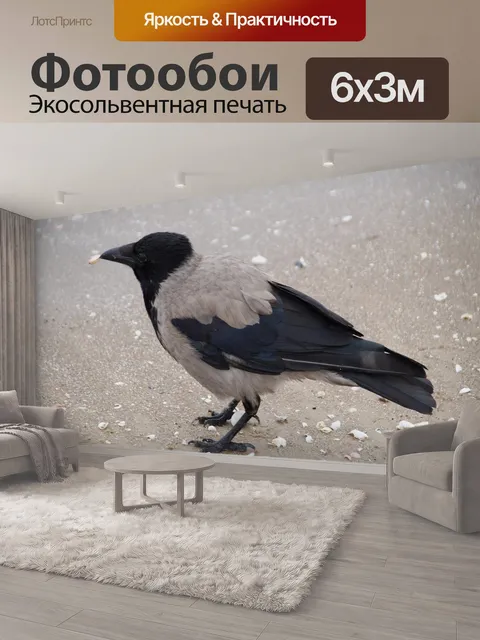 600 × 300 см · Экосольвентная печать