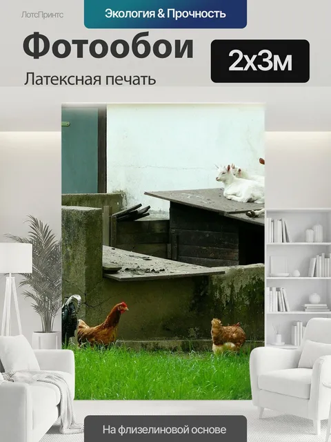 200 × 300 см · Латексная печать