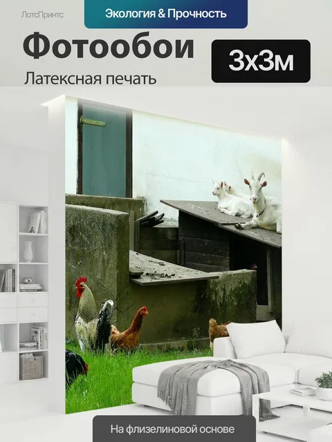 300 × 300 см · Латексная печать