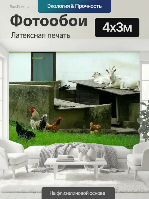 400 × 300 см · Латексная печать