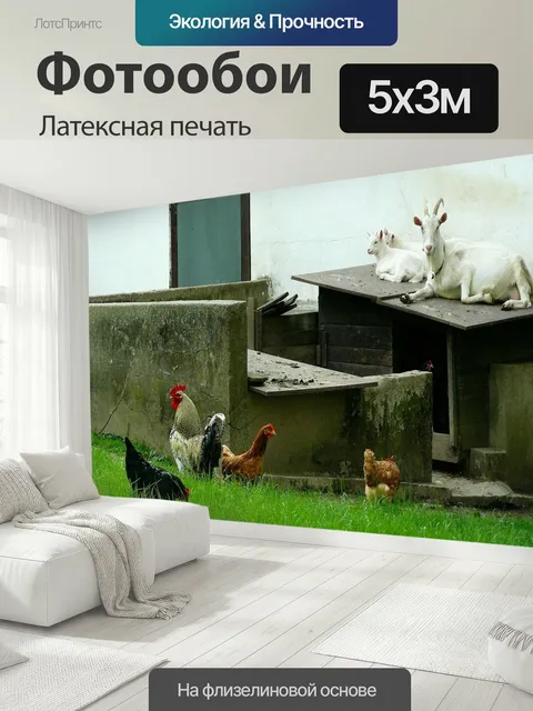 500 × 300 см · Латексная печать