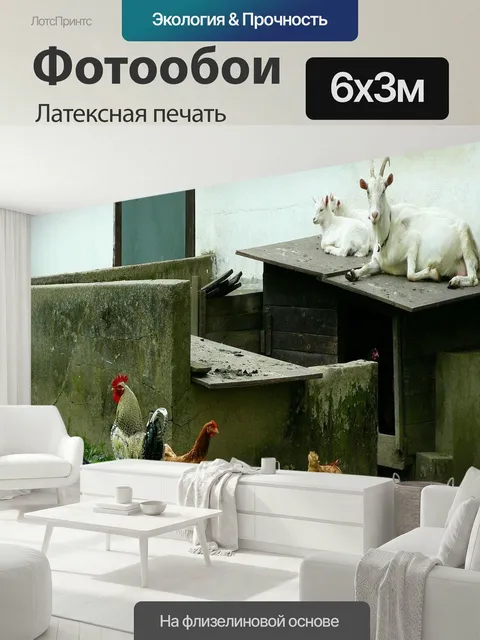 600 × 300 см · Латексная печать
