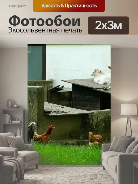 200 × 300 см · Экосольвентная печать