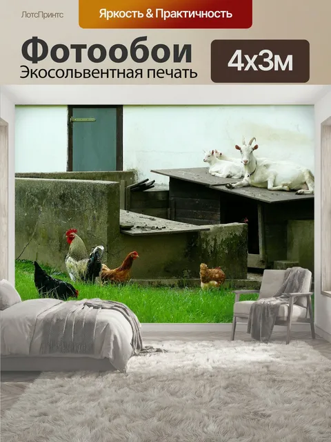400 × 300 см · Экосольвентная печать