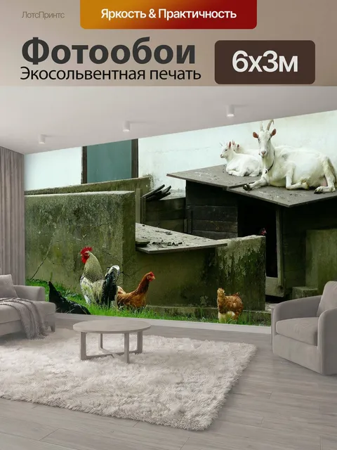 600 × 300 см · Экосольвентная печать