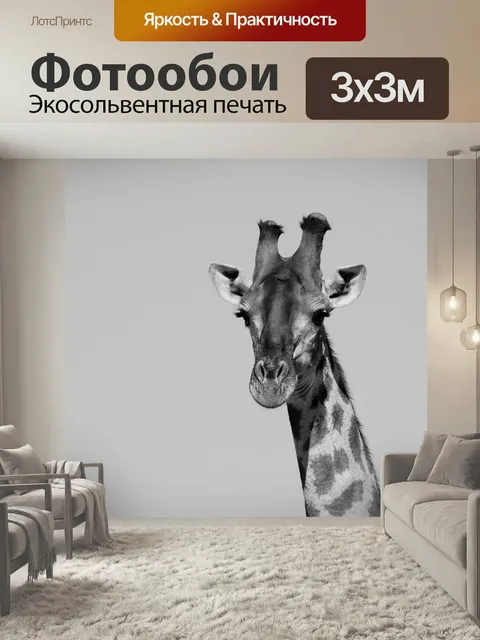 Фотообои Жирафа, сафари, голова