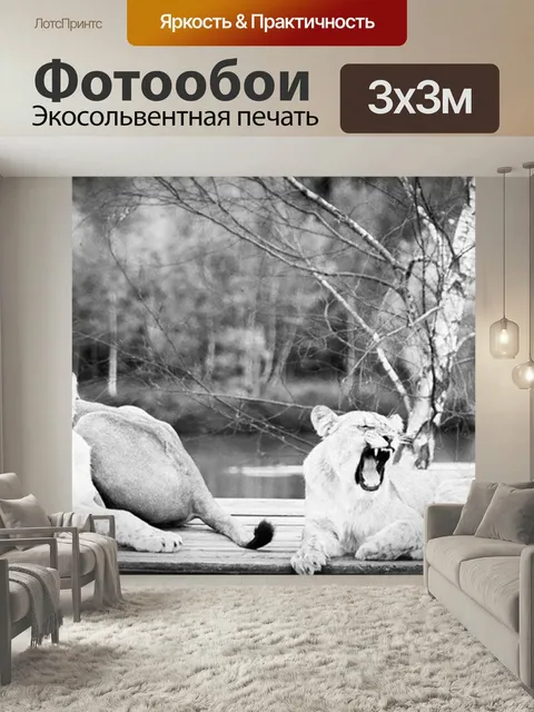 Фотообои Семья, львы, черное и белое