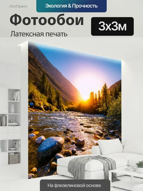 300 × 300 см · Латексная печать