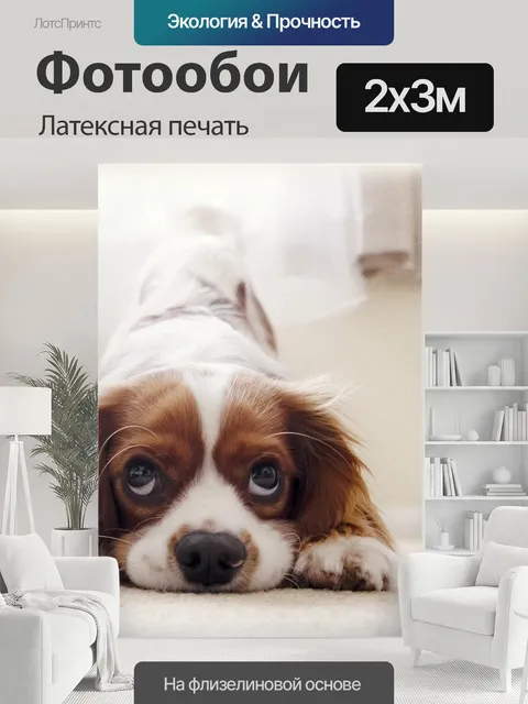200 × 300 см · Латексная печать
