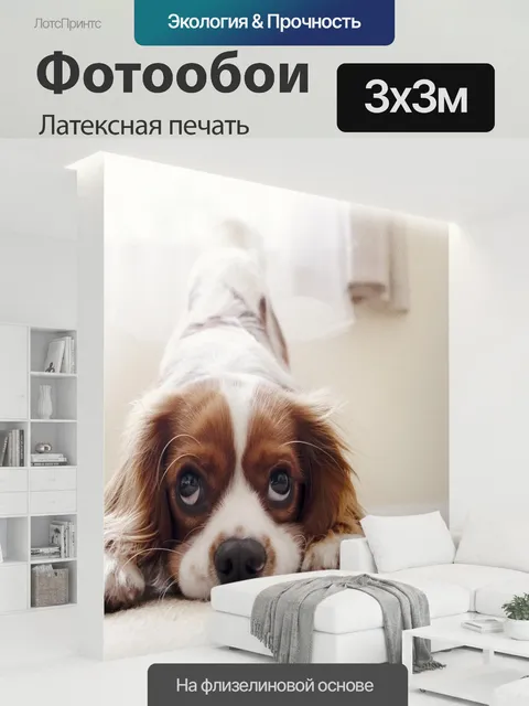 300 × 300 см · Латексная печать