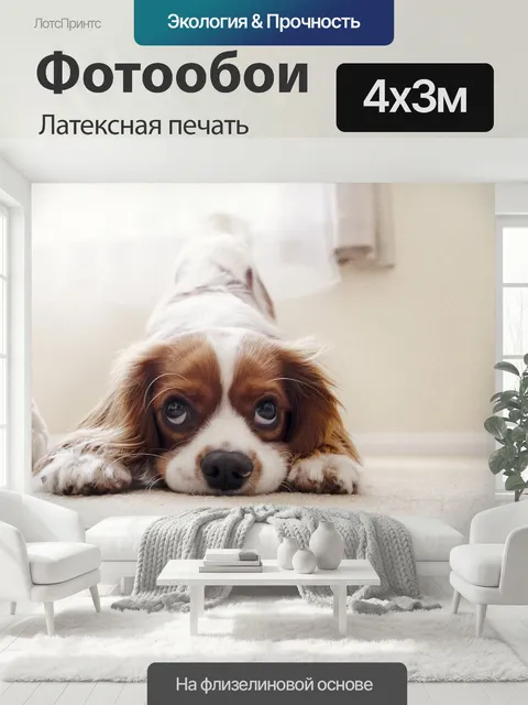 400 × 300 см · Латексная печать