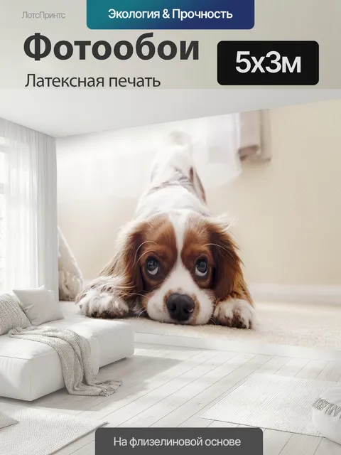 500 × 300 см · Латексная печать