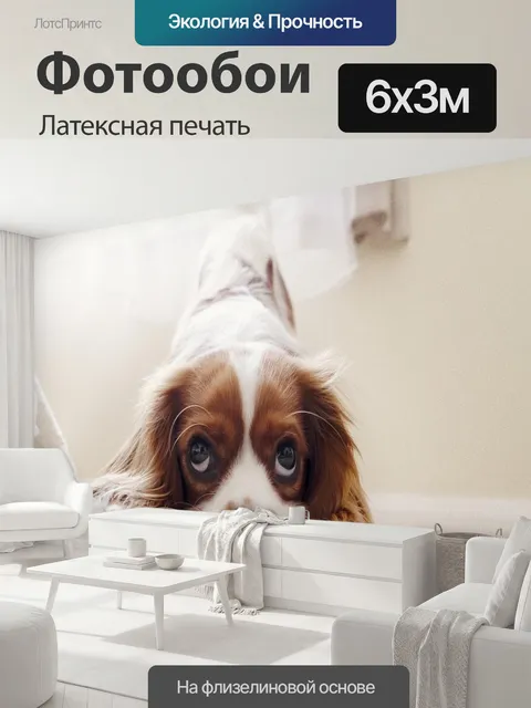 600 × 300 см · Латексная печать