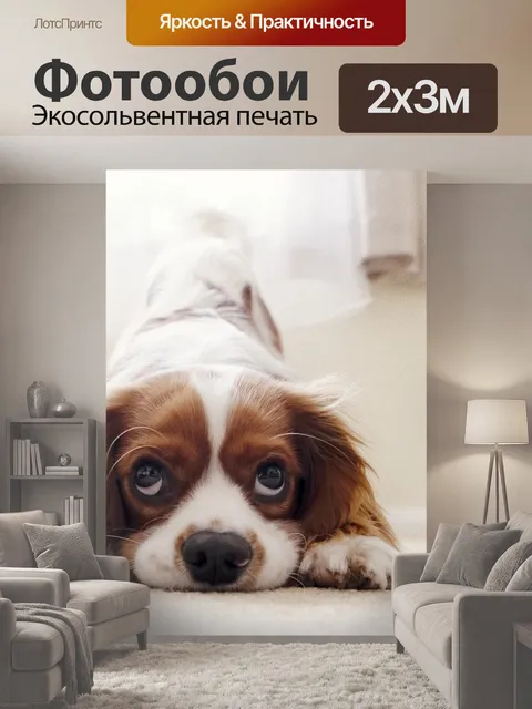 200 × 300 см · Экосольвентная печать