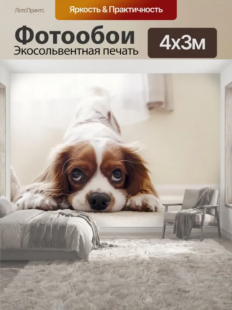 400 × 300 см · Экосольвентная печать