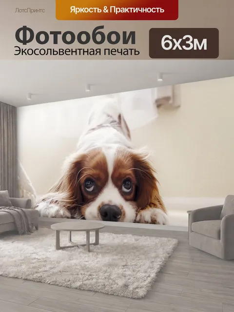 600 × 300 см · Экосольвентная печать