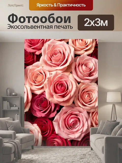 200 × 300 см · Экосольвентная печать