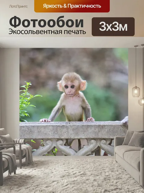 Фотообои Обезьяна, animalia, милый
