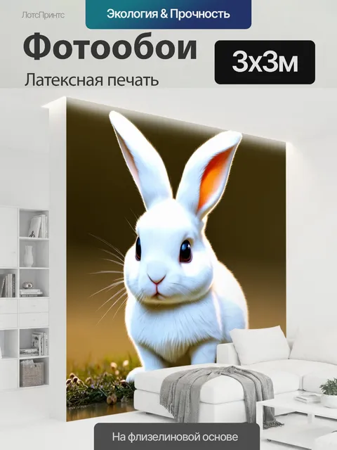 300 × 300 см · Латексная печать